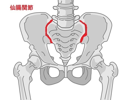 仙腸関節の痛み - はなみずき鍼灸整骨院 大田区石川台・雪谷の鍼灸整体