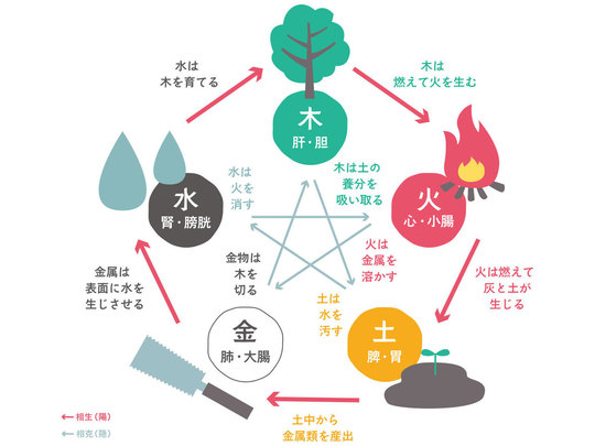 東洋医学と陰陽五行説 - はなみずき鍼灸整骨院 大田区石川台・雪谷の鍼灸整体治療院